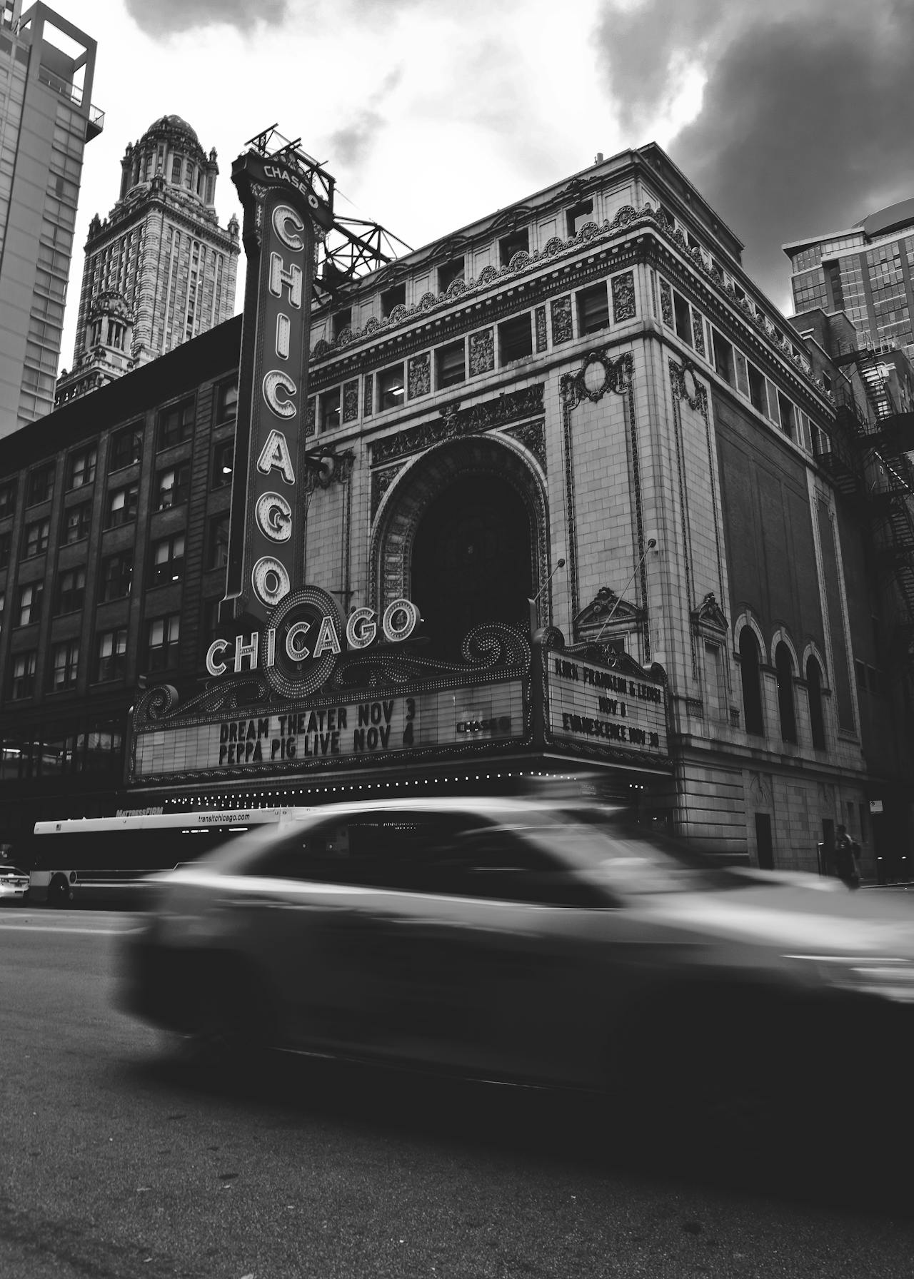 Celebrating Illinois Day: Discover the Land of Lincoln with Your Dog